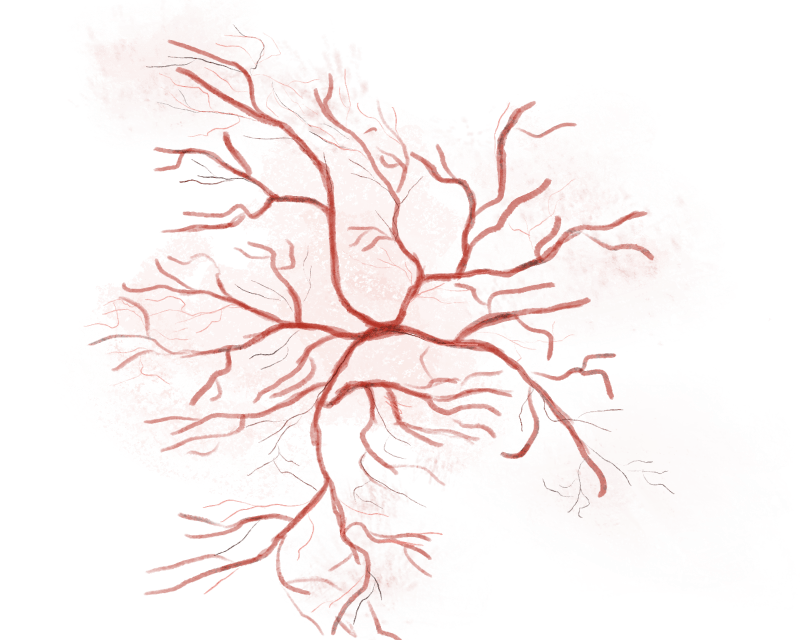 veins two