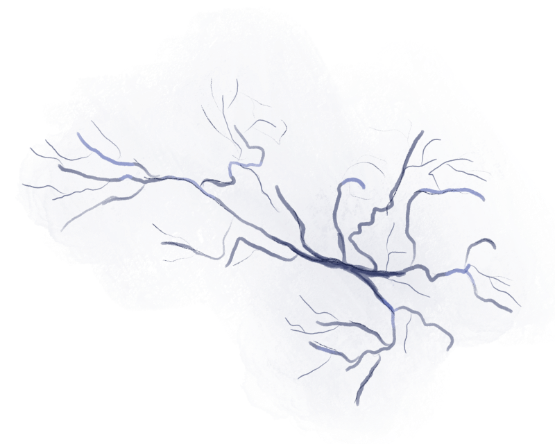veins three